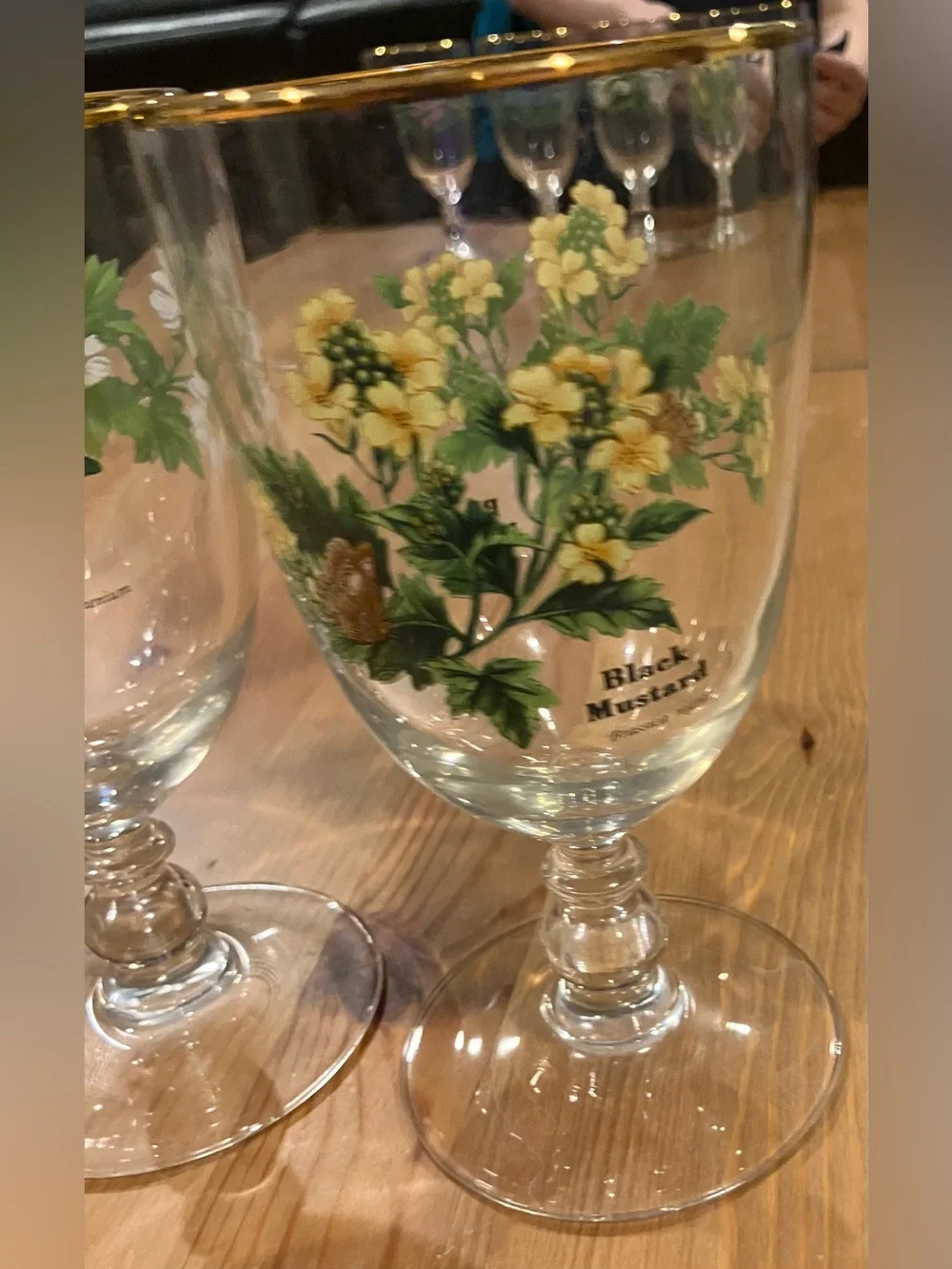 EUC Royal Worchester Herbs Stemmed Water Goblets w/Gold Rim (Set of 4) Vintage